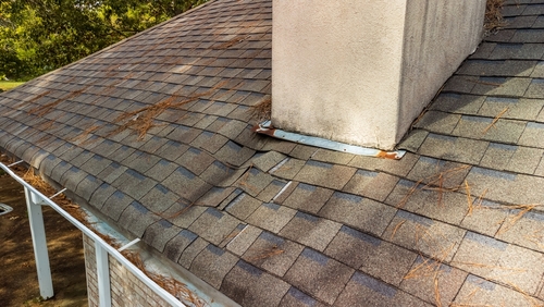 The Hidden Dangers of Neglected Roofs: Why Professional Cleaning is Essential
