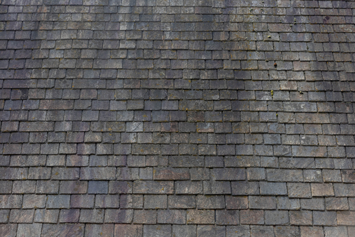 The Science of Roof Stains: Identifying and Eliminating Common Culprits