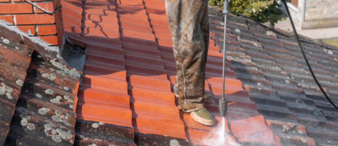 The Role of Roof Cleaning in Preventing Leaks and Water Damage