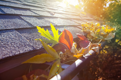 The Top 5 Benefits of Professional Roof Cleaning You Didn't Know About