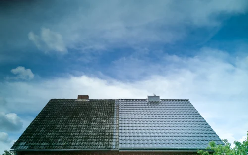 Roof tiles showing a cleaned section beside surface growth