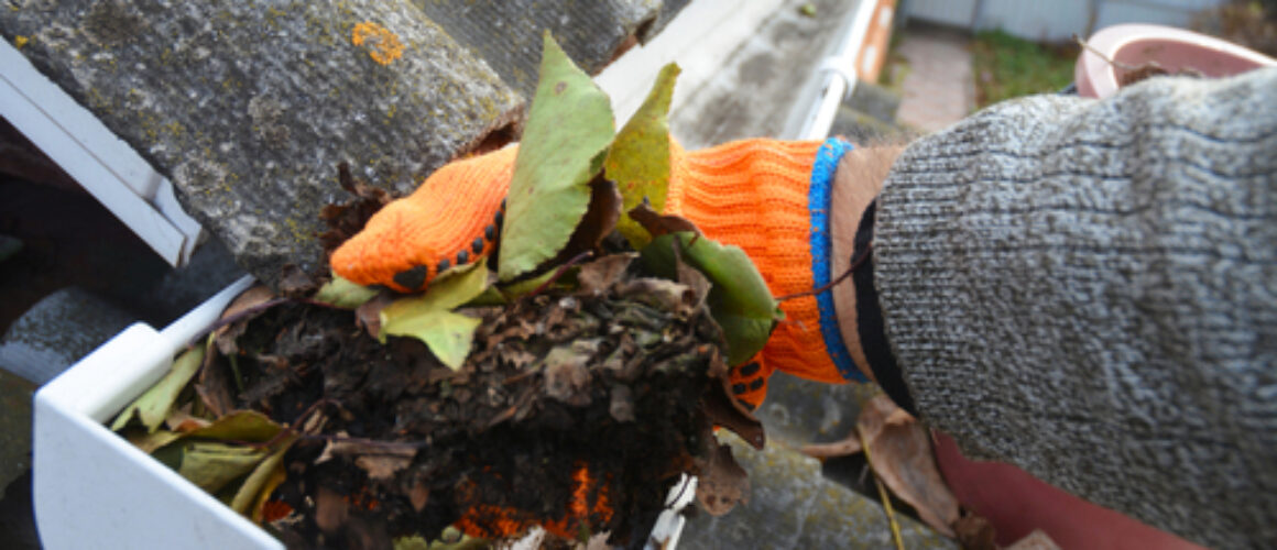 DIY vs. Professional Roof Cleaning: Why Hiring Experts is Worth the Investment