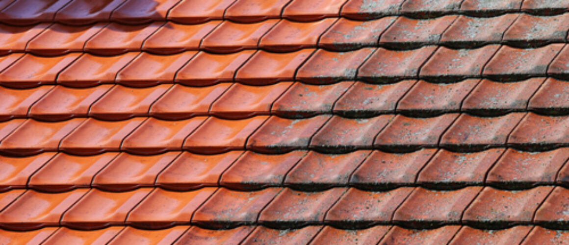 Seasonal Roof Cleaning Tips: Preparing Your Roof for Winter, Spring, Summer, and Fall