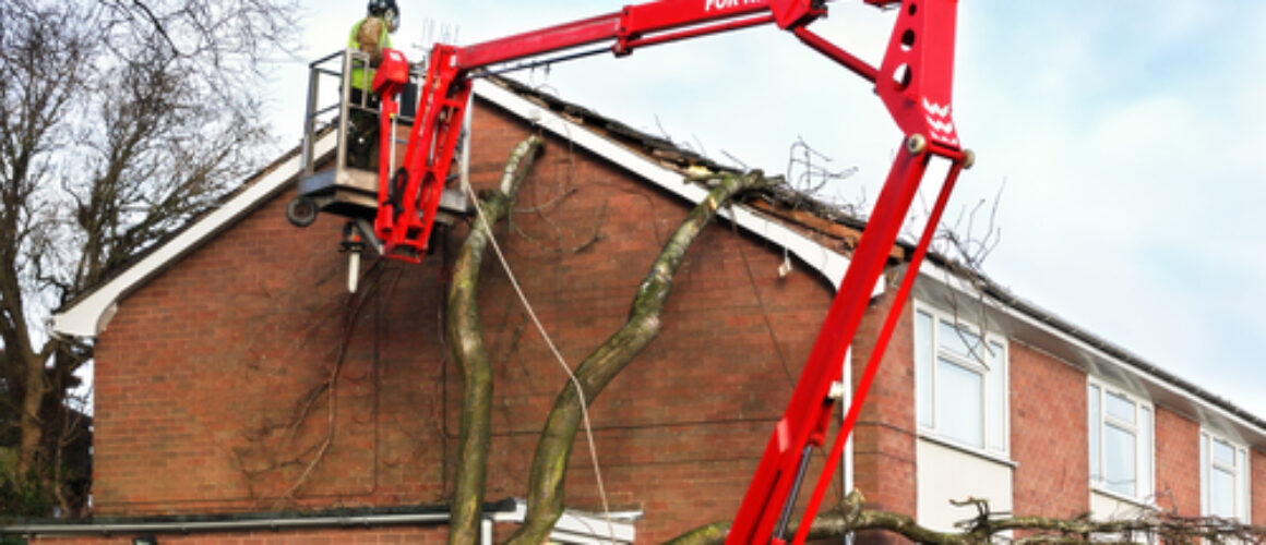Selecting The Right Cherry Picker For Your Needs