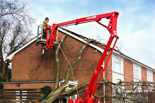 Selecting The Right Cherry Picker For Your Needs