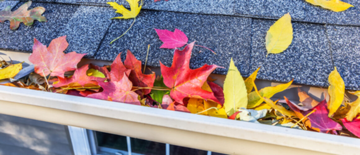 Seasonal Effects on Roof Longevity: What Every Homeowner Should Know