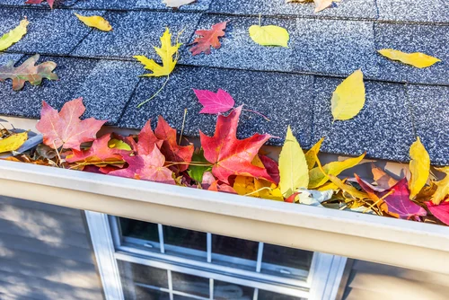 Autumn leaves in a roof gutter