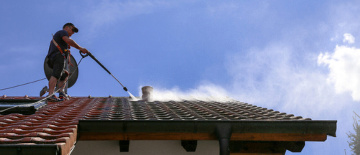 The Importance of Professional Roof Cleaning