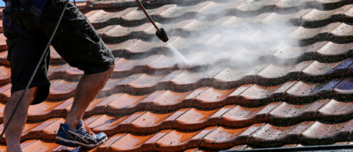 The Importance of Professional Roof Cleaning for Your Home