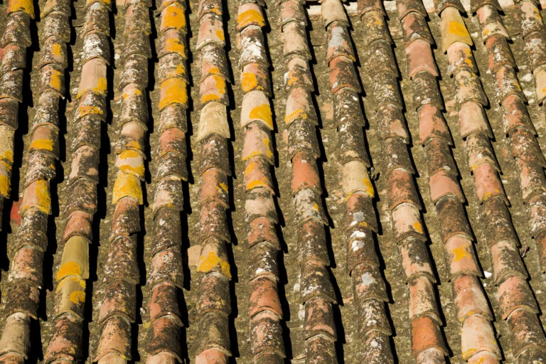 Roof tiles with patches of moss