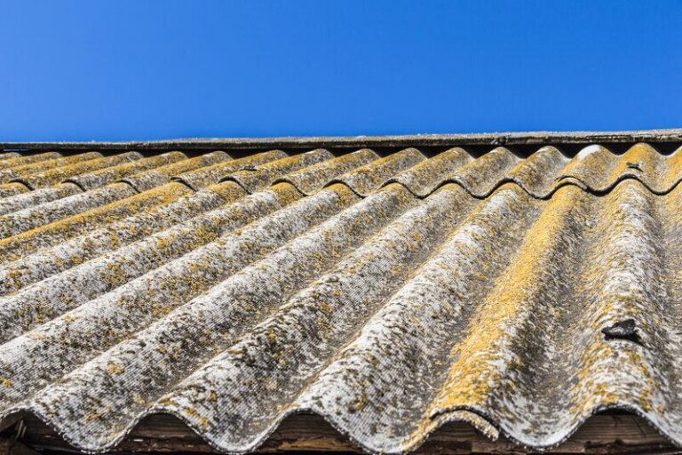 Roof tiles with patches of moss