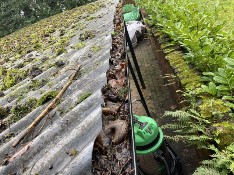 Moss and debris collected in a gutter