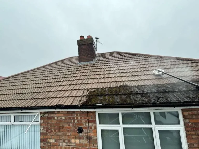 Roof with a cleaned section above a house window