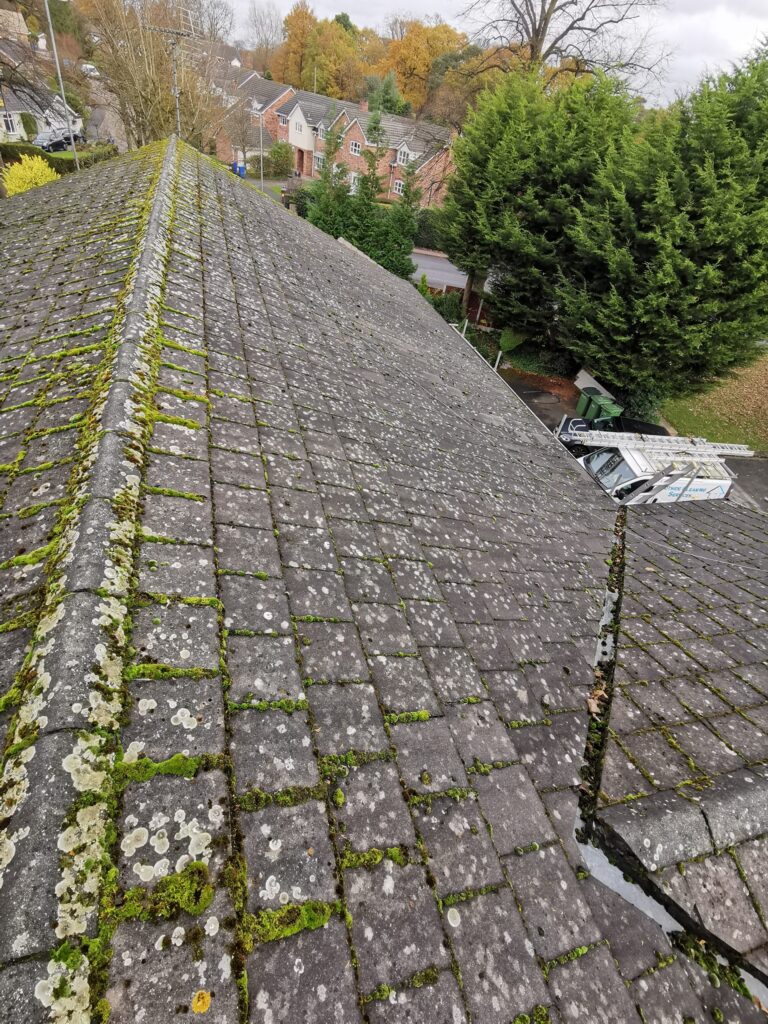 Moss covering a sloping roof