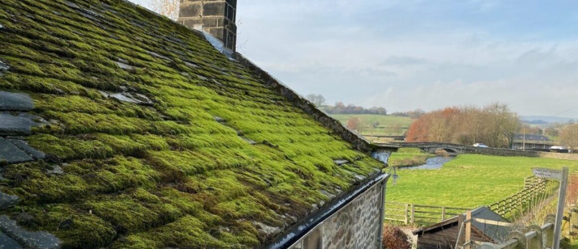 Roof Moss Removal Liverpool