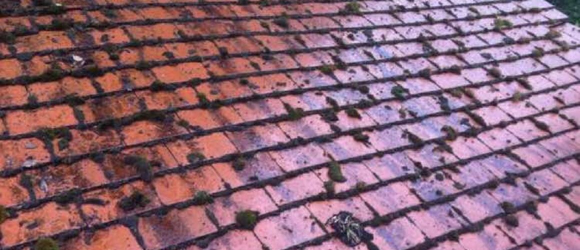 Roof Moss Removal Formby
