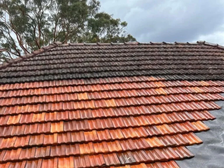 Roof tiles showing a cleaned section beside surface growth