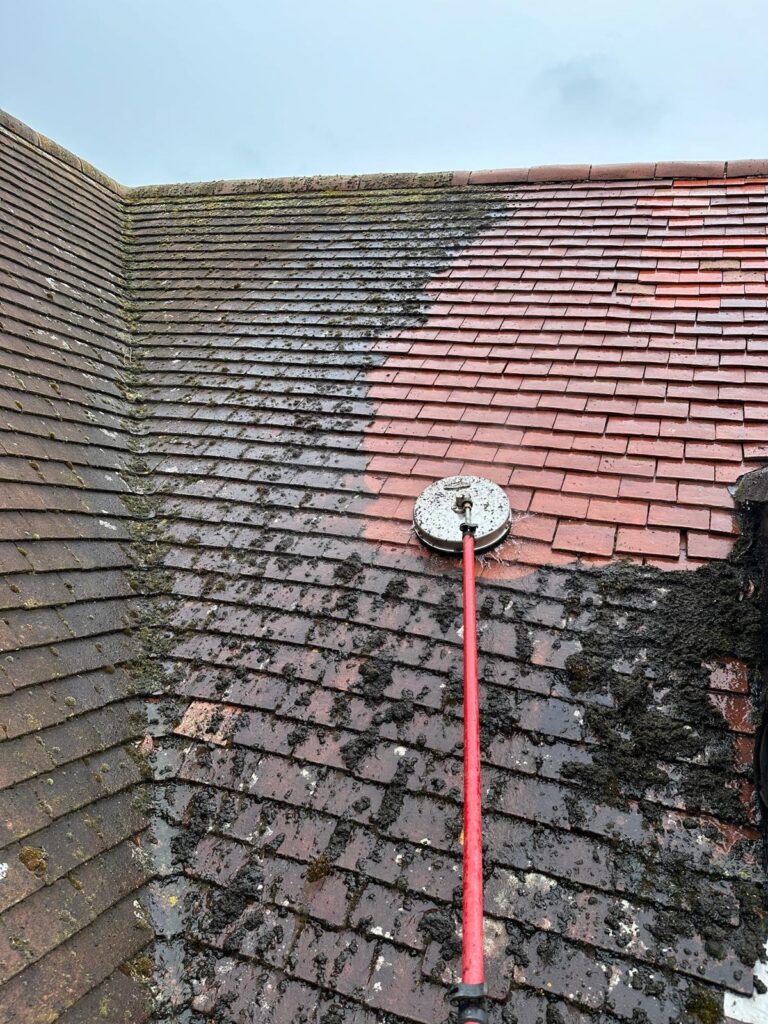 Roof tiles with a cleaned test area