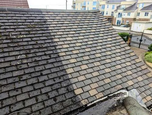 Slate roof showing surface growth before cleaning