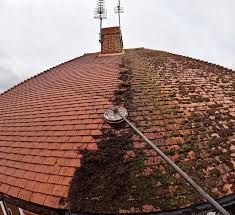 Roof tiles with a cleaned test area